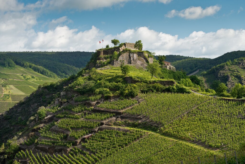 Ahrsteig - Individuelle Trekkingreise
